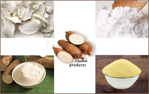 Каталог оборудования для переработки маниоки и список продукции
